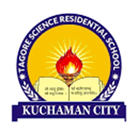 Tagore Science Residential School, Kuchaman, Rajastan